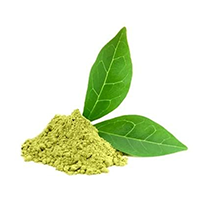 Green Tea (Leaf) Extract